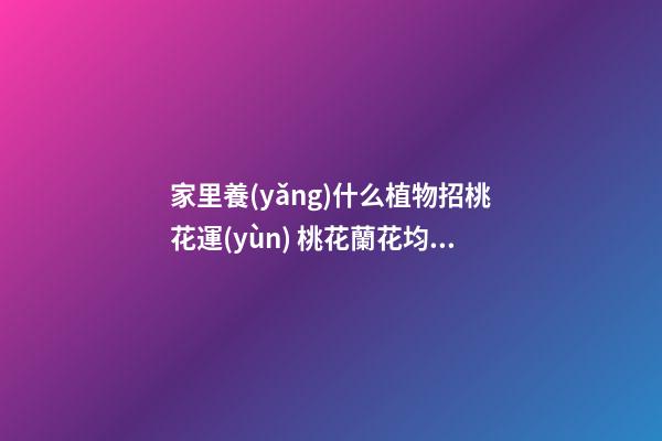 家里養(yǎng)什么植物招桃花運(yùn) 桃花蘭花均可行
